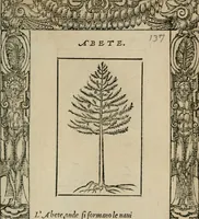 An illustration from Diuerse imprese accommodate a diuerse moralità : con versi che i loro significati dichiarano (1549)