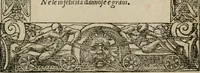 An illustration from Diuerse imprese accommodate a diuerse moralità : con versi che i loro significati dichiarano (1549)