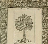 An illustration from Diuerse imprese accommodate a diuerse moralità : con versi che i loro significati dichiarano (1549)