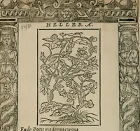 Picture 304 of 310 from Diuerse imprese accommodate a diuerse moralità : con versi che i loro significati dichiarano (1549), leaf 143