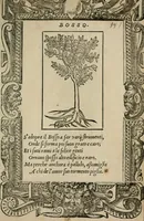 An illustration from Diuerse imprese accommodate a diuerse moralità : con versi che i loro significati dichiarano (1549)