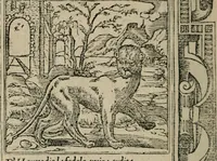 An illustration from Diuerse imprese accommodate a diuerse moralità : con versi che i loro significati dichiarano (1549)