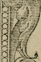 An illustration from Diuerse imprese accommodate a diuerse moralità : con versi che i loro significati dichiarano (1549)
