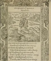 An illustration from Diuerse imprese accommodate a diuerse moralità : con versi che i loro significati dichiarano (1549)
