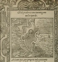 An illustration from Diuerse imprese accommodate a diuerse moralità : con versi che i loro significati dichiarano (1549)