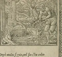 An illustration from Diuerse imprese accommodate a diuerse moralità : con versi che i loro significati dichiarano (1549)