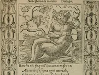 An illustration from Diuerse imprese accommodate a diuerse moralità : con versi che i loro significati dichiarano (1549)