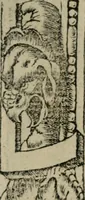 An illustration from Diuerse imprese accommodate a diuerse moralità : con versi che i loro significati dichiarano (1549)