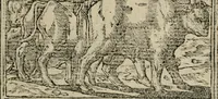 An illustration from Diuerse imprese accommodate a diuerse moralità : con versi che i loro significati dichiarano (1549)
