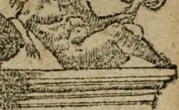 An illustration from Diuerse imprese accommodate a diuerse moralità : con versi che i loro significati dichiarano (1549)