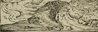 An illustration from Diuerse imprese accommodate a diuerse moralità : con versi che i loro significati dichiarano (1549)