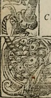 An illustration from Diuerse imprese accommodate a diuerse moralità : con versi che i loro significati dichiarano (1549)