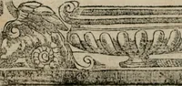 An illustration from Diuerse imprese accommodate a diuerse moralità : con versi che i loro significati dichiarano (1549)