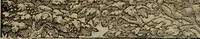 An illustration from Diuerse imprese accommodate a diuerse moralità : con versi che i loro significati dichiarano (1549)