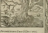 An illustration from Diuerse imprese accommodate a diuerse moralità : con versi che i loro significati dichiarano (1549)