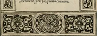 An illustration from Diuerse imprese accommodate a diuerse moralità : con versi che i loro significati dichiarano (1549)
