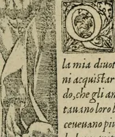 An illustration from Diuerse imprese accommodate a diuerse moralità : con versi che i loro significati dichiarano (1549)