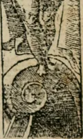 An illustration from Diuerse imprese accommodate a diuerse moralità : con versi che i loro significati dichiarano (1549)