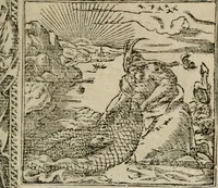 An illustration from Diuerse imprese accommodate a diuerse moralità : con versi che i loro significati dichiarano (1549)