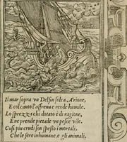 An illustration from Diuerse imprese accommodate a diuerse moralità : con versi che i loro significati dichiarano (1549)
