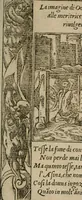 An illustration from Diuerse imprese accommodate a diuerse moralità : con versi che i loro significati dichiarano (1549)