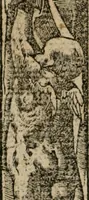 An illustration from Diuerse imprese accommodate a diuerse moralità : con versi che i loro significati dichiarano (1549)