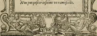 An illustration from Diuerse imprese accommodate a diuerse moralità : con versi che i loro significati dichiarano (1549)