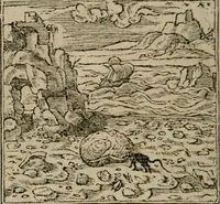 An illustration from Diuerse imprese accommodate a diuerse moralità : con versi che i loro significati dichiarano (1549)
