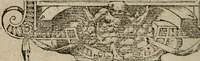 An illustration from Diuerse imprese accommodate a diuerse moralità : con versi che i loro significati dichiarano (1549)