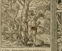 An illustration from Diuerse imprese accommodate a diuerse moralità : con versi che i loro significati dichiarano (1549)