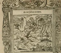 An illustration from Diuerse imprese accommodate a diuerse moralità : con versi che i loro significati dichiarano (1549)