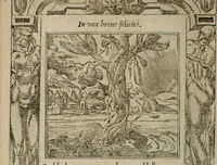 An illustration from Diuerse imprese accommodate a diuerse moralità : con versi che i loro significati dichiarano (1549)