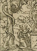 An illustration from Diuerse imprese accommodate a diuerse moralità : con versi che i loro significati dichiarano (1549)