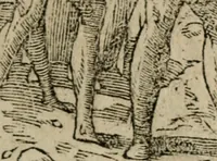 An illustration from Diuerse imprese accommodate a diuerse moralità : con versi che i loro significati dichiarano (1549)