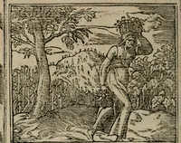 An illustration from Diuerse imprese accommodate a diuerse moralità : con versi che i loro significati dichiarano (1549)
