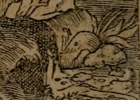 An illustration from Diverse imprese accommodate a diuerse moralità, con versi che i loro significati dichiarano insieme con molte altre nella lingua italiana non piu tradotte (1564)
