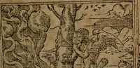 An illustration from Diverse imprese accommodate a diuerse moralità, con versi che i loro significati dichiarano insieme con molte altre nella lingua italiana non piu tradotte (1564)