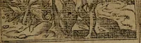 An illustration from Diverse imprese accommodate a diuerse moralità, con versi che i loro significati dichiarano insieme con molte altre nella lingua italiana non piu tradotte (1564)