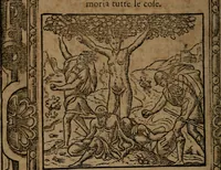 Picture 199 of 345 from Diverse imprese accommodate a diuerse moralità, con versi che i loro significati dichiarano insieme con molte altre nella lingua italiana non piu tradotte (1564), leaf 115