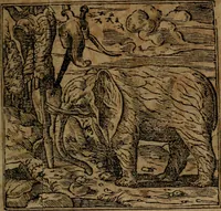 Picture 210 of 345 from Diverse imprese accommodate a diuerse moralità, con versi che i loro significati dichiarano insieme con molte altre nella lingua italiana non piu tradotte (1564), leaf 124