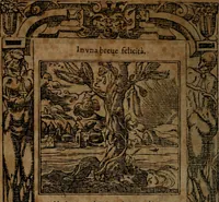 An illustration from Diverse imprese accommodate a diuerse moralità, con versi che i loro significati dichiarano insieme con molte altre nella lingua italiana non piu tradotte (1564)
