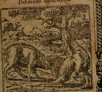 An illustration from Diverse imprese accommodate a diuerse moralità, con versi che i loro significati dichiarano insieme con molte altre nella lingua italiana non piu tradotte (1564)