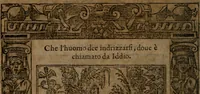 Picture 13 of 345 from Diverse imprese accommodate a diuerse moralità, con versi che i loro significati dichiarano insieme con molte altre nella lingua italiana non piu tradotte (1564), leaf 13