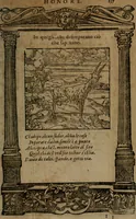 Picture 238 of 345 from Diverse imprese accommodate a diuerse moralità, con versi che i loro significati dichiarano insieme con molte altre nella lingua italiana non piu tradotte (1564), leaf 140