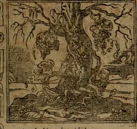 An illustration from Diverse imprese accommodate a diuerse moralità, con versi che i loro significati dichiarano insieme con molte altre nella lingua italiana non piu tradotte (1564)
