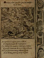 An illustration from Diverse imprese accommodate a diuerse moralità, con versi che i loro significati dichiarano insieme con molte altre nella lingua italiana non piu tradotte (1564)