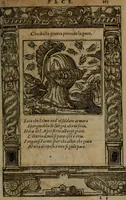Picture 296 of 345 from Diverse imprese accommodate a diuerse moralità, con versi che i loro significati dichiarano insieme con molte altre nella lingua italiana non piu tradotte (1564), leaf 168