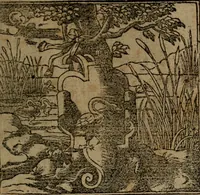 An illustration from Diverse imprese accommodate a diuerse moralità, con versi che i loro significati dichiarano insieme con molte altre nella lingua italiana non piu tradotte (1564)