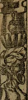 An illustration from Diverse imprese accommodate a diuerse moralità, con versi che i loro significati dichiarano insieme con molte altre nella lingua italiana non piu tradotte (1564)