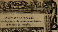 Picture 316 of 345 from Diverse imprese accommodate a diuerse moralità, con versi che i loro significati dichiarano insieme con molte altre nella lingua italiana non piu tradotte (1564), leaf 178